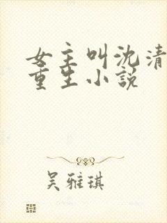 女主叫沈清梨的重生小说