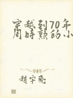 穿越到70年代周时勋的小说