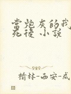 当炮灰的我替身死后 小说