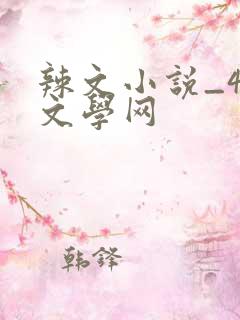 辣文小说_48文学网