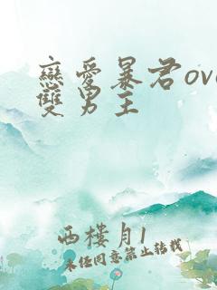 恋爱暴君ova双男主