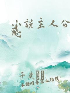 小说主人公叫杨飞