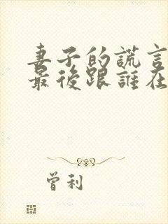 妻子的谎言一珊最后跟谁在一起了