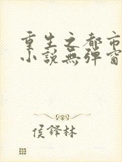 重生之都市仙尊小说无弹窗口