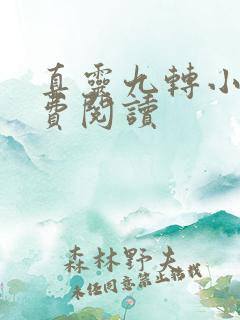 真灵九转小说免费阅读