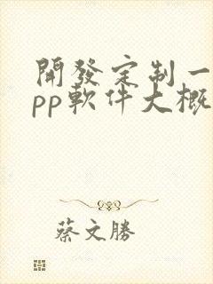 开发定制一个app软件大概多少钱