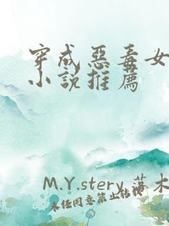 穿成恶毒女配的小说推荐