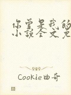 你曾是我的唯一小说全文免费阅读