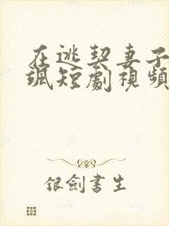 在逃契妻子美又飒短剧视频