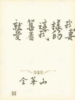 就算这样我依然爱着我的妻子