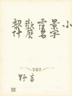 黎欢霍景小说叫什么名字