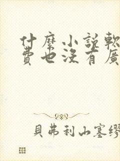 什么小说软件免费也没有广告