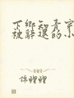 下乡知青穿七零被辞退的小说