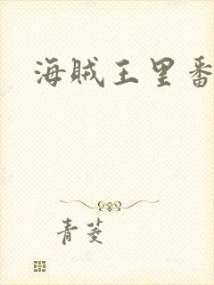 海贼王里番本子