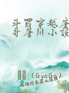 斗罗穿越唐三亲哥唐川小说