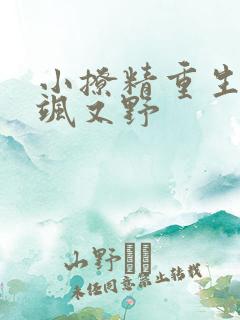 小撩精重生后又飒又野