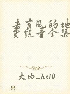 去有风的地方免费观看全集电视剧