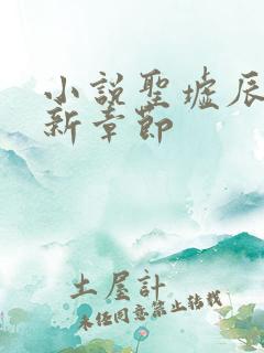 小说圣墟辰东最新章节