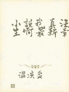 小说我真没想重生啊最新章节