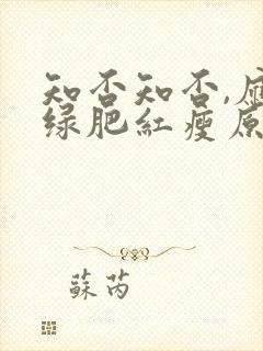 知否知否,应是绿肥红瘦原著小说