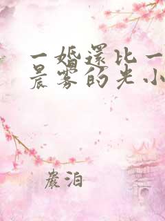 一婚还比一婚高晨雾的光小说