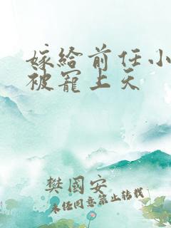 嫁给前任小叔后被宠上天