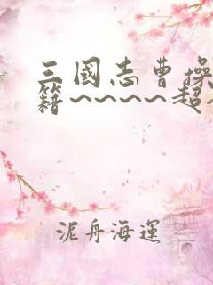 三国志曹操传秘籍~~~~超全