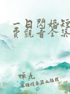 一日闪婚短剧免费观看全集