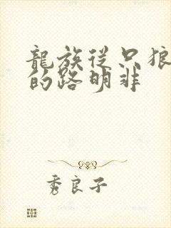 龙族从只狼归来的路明非