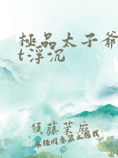 极品太子爷txt浮沉