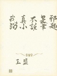 我真不是邪神走狗小说笔趣阁