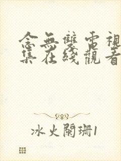 念无双电视剧全集在线观看