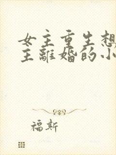 女主重生想和男主离婚的小说