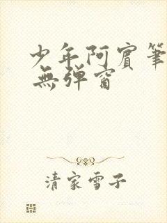 少年阿宾笔趣阁 无弹窗