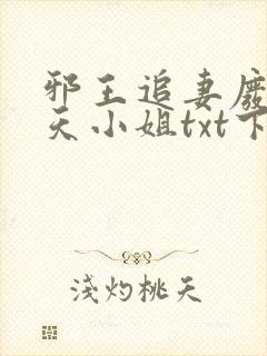 邪王追妻废材逆天小姐txt下载