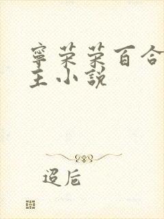 宁荣荣百合双女主小说