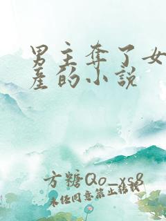 男主夺了女主家产的小说