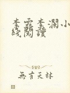 李霖李澜小说在线阅读