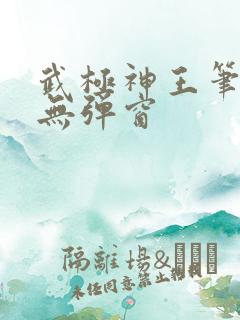 武极神王笔趣阁无弹窗