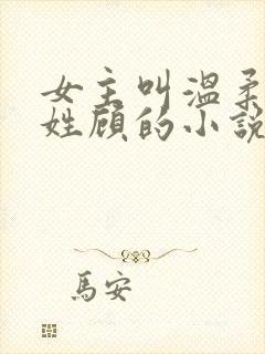 女主叫温柔男主姓顾的小说