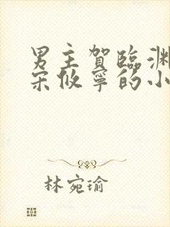 男主贺临渊女主宋攸宁的小说