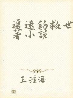 遥远的救世主原著小说