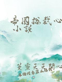 帝国总裁心尖宠 小说