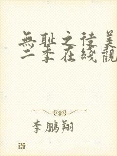 无耻之徒美版第二季在线观看