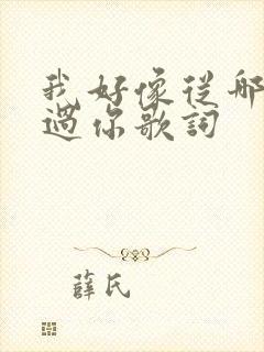 我好像从哪里见过你歌词