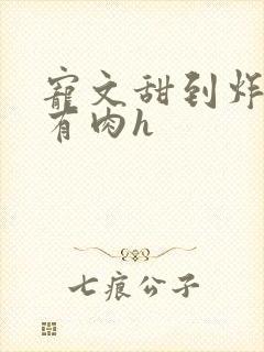 宠文甜到炸无虐有肉h