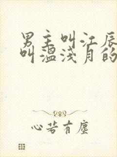 男主叫江辰女主叫温浅月的小说