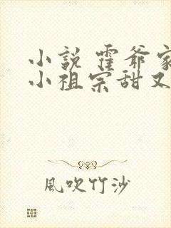 小说 霍爷家的小祖宗甜又野