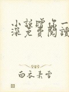 小说赠你一世情深免费阅读