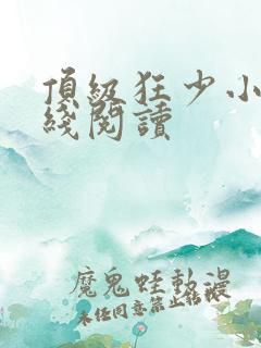 顶级狂少小说在线阅读